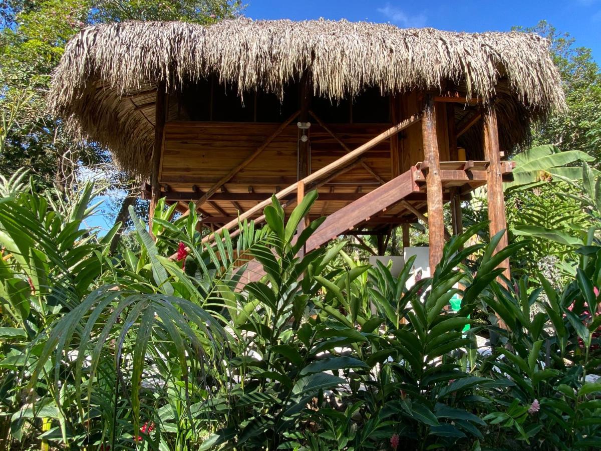 Salvia Madre Hotel Guachaca Екстериор снимка