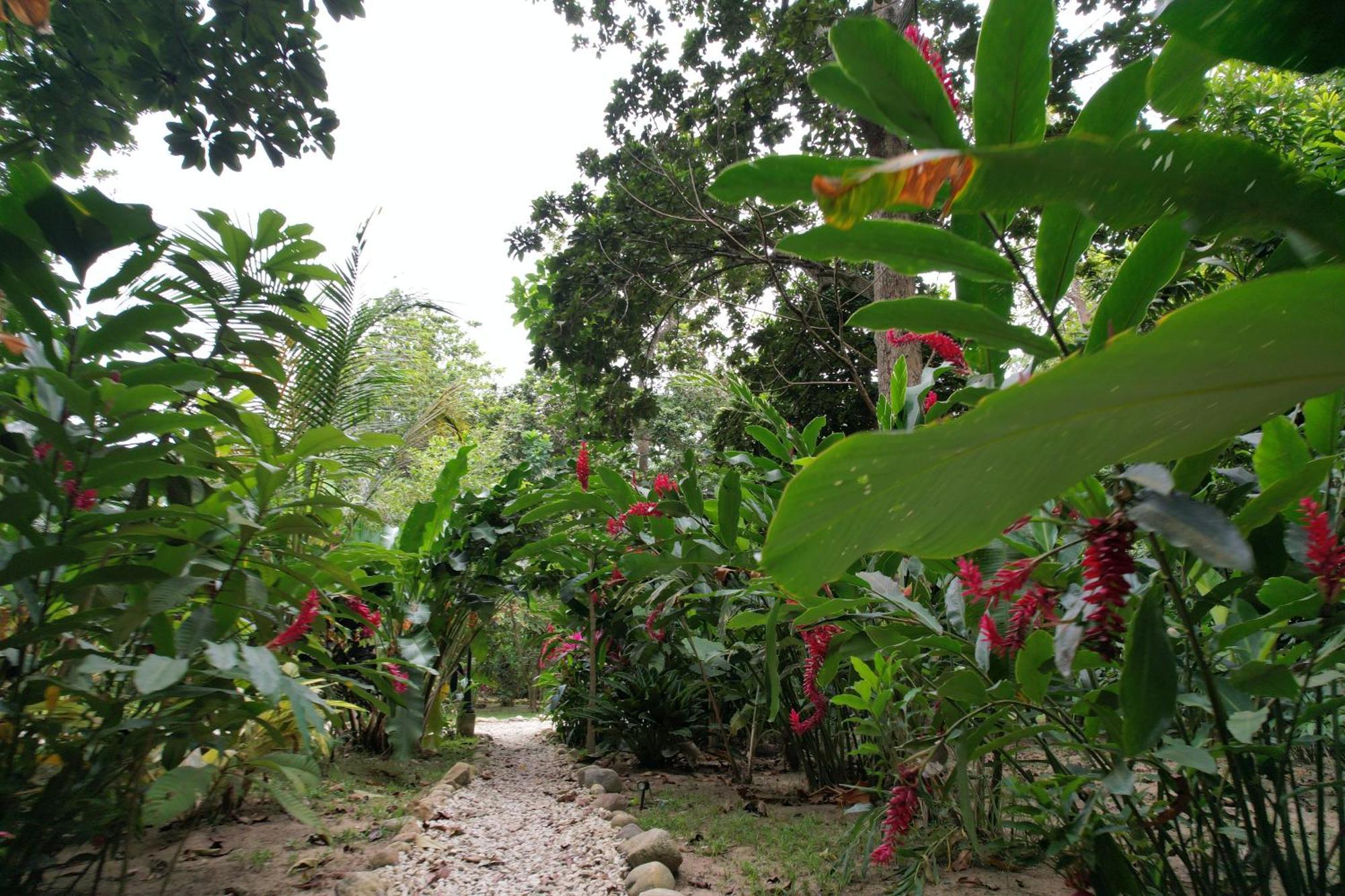 Salvia Madre Hotel Guachaca Екстериор снимка