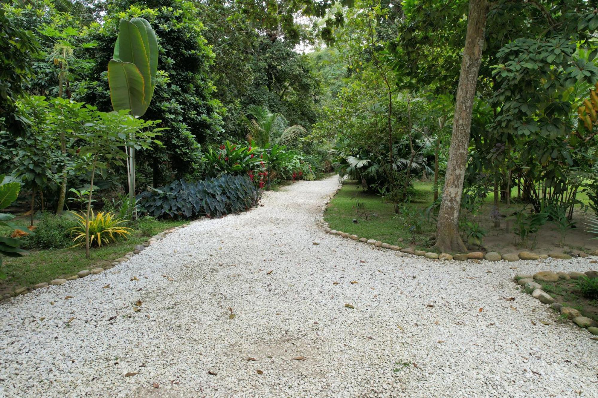Salvia Madre Hotel Guachaca Екстериор снимка