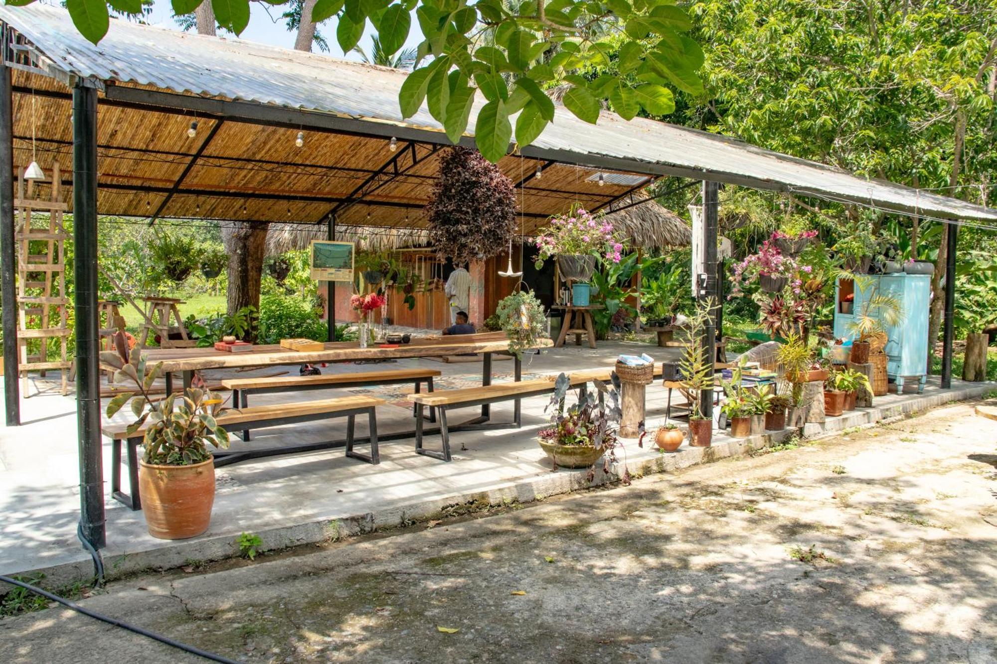 Salvia Madre Hotel Guachaca Екстериор снимка