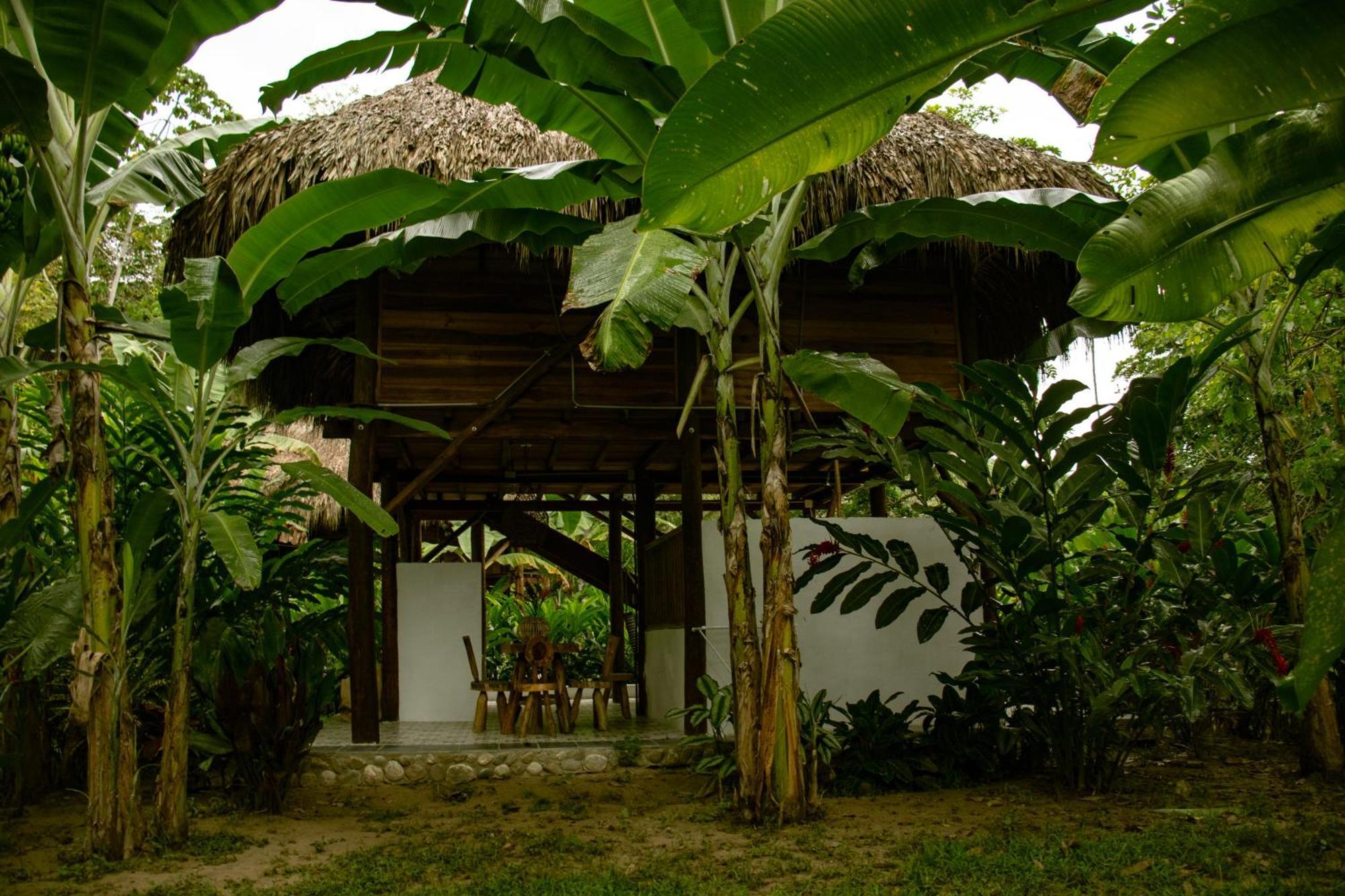 Salvia Madre Hotel Guachaca Екстериор снимка