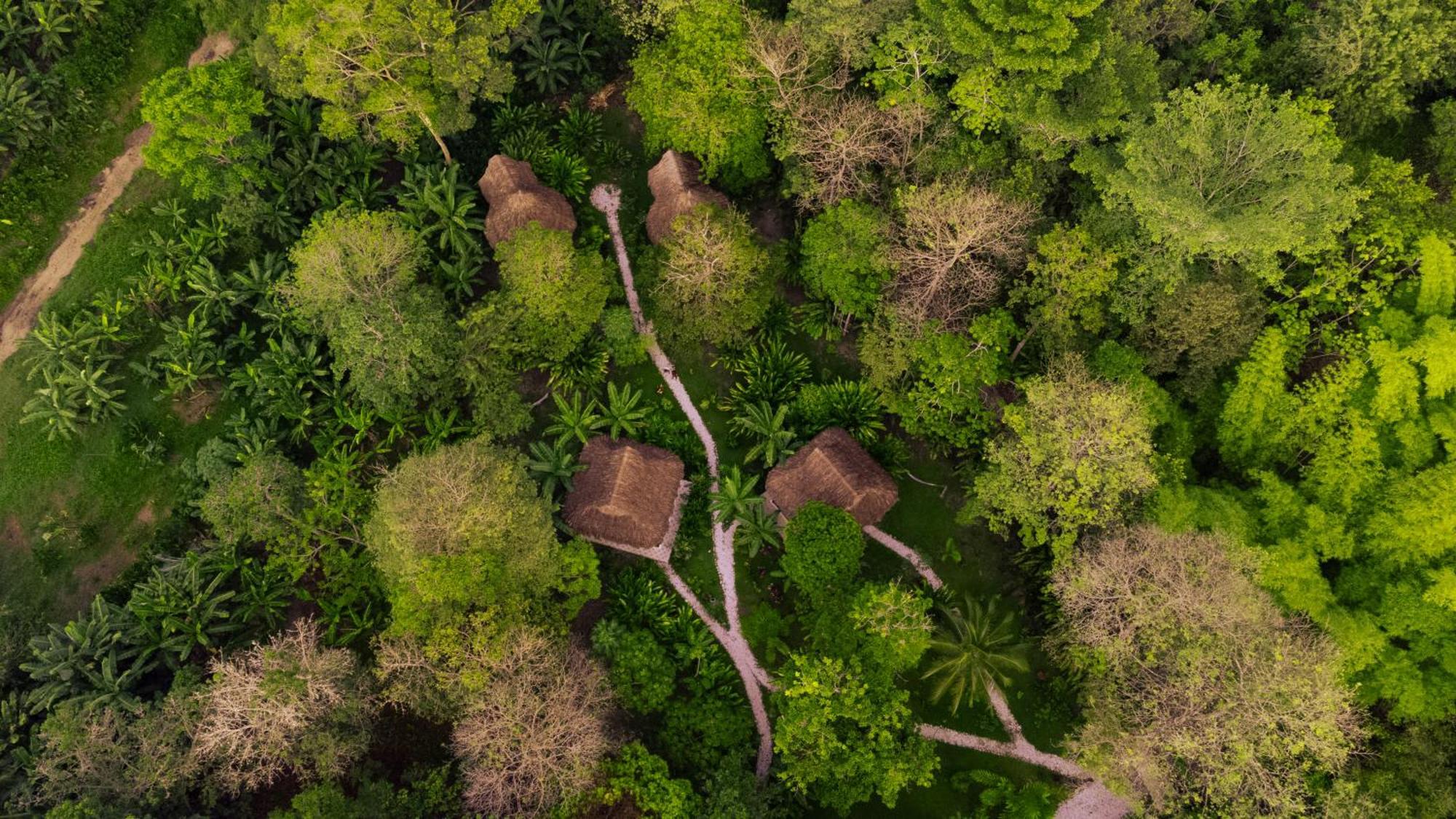 Salvia Madre Hotel Guachaca Екстериор снимка