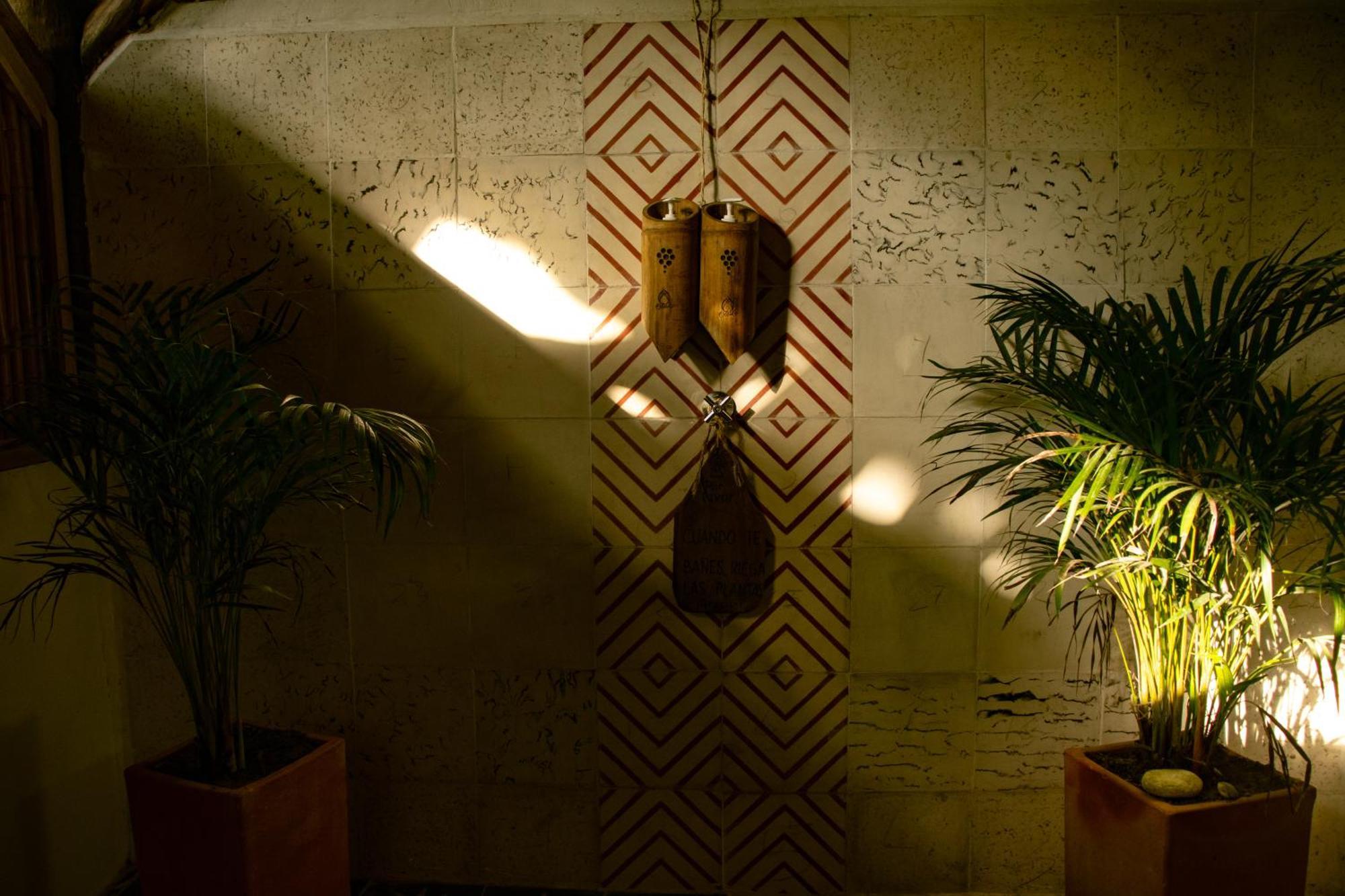 Salvia Madre Hotel Guachaca Екстериор снимка