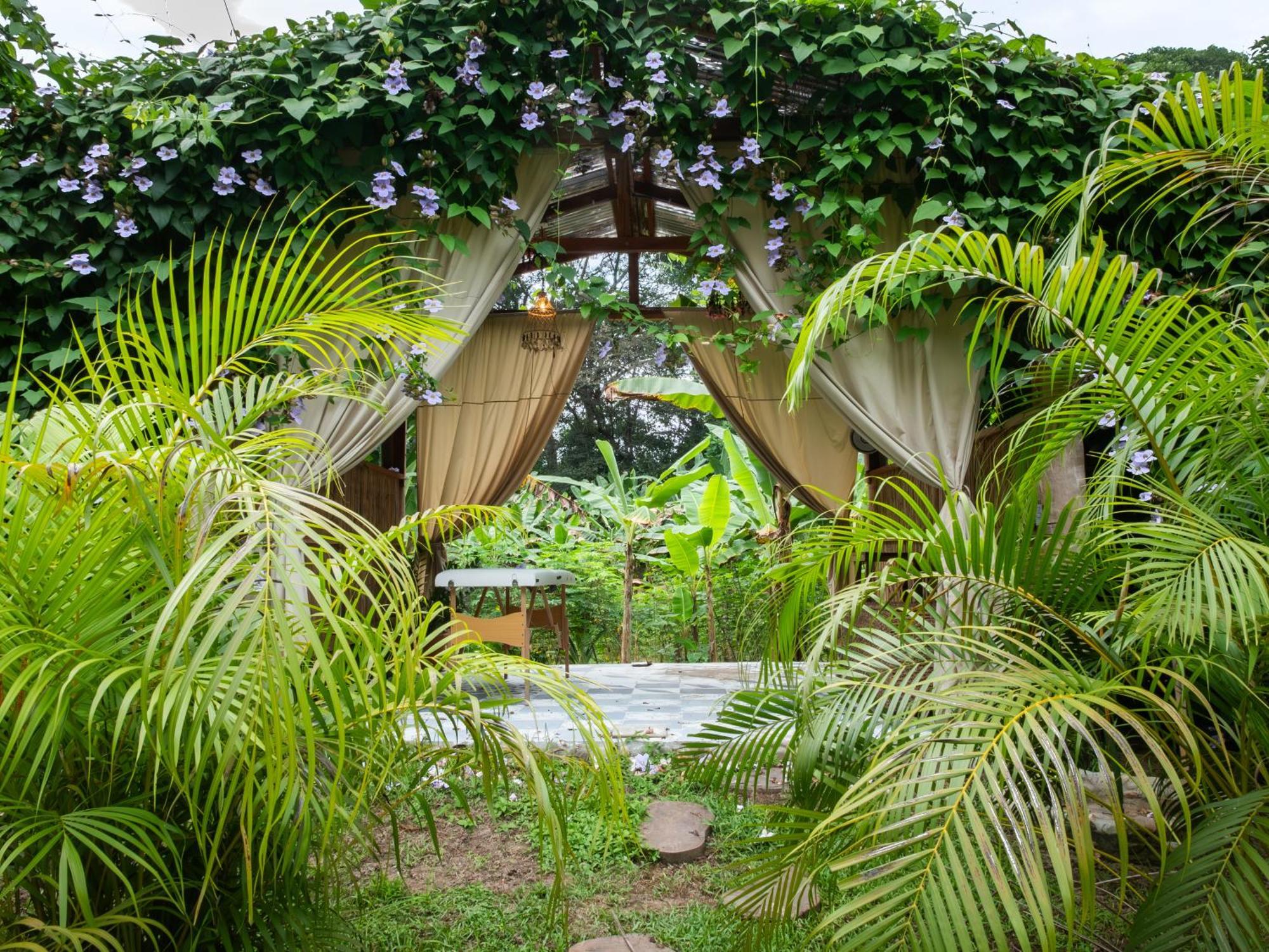 Salvia Madre Hotel Guachaca Екстериор снимка