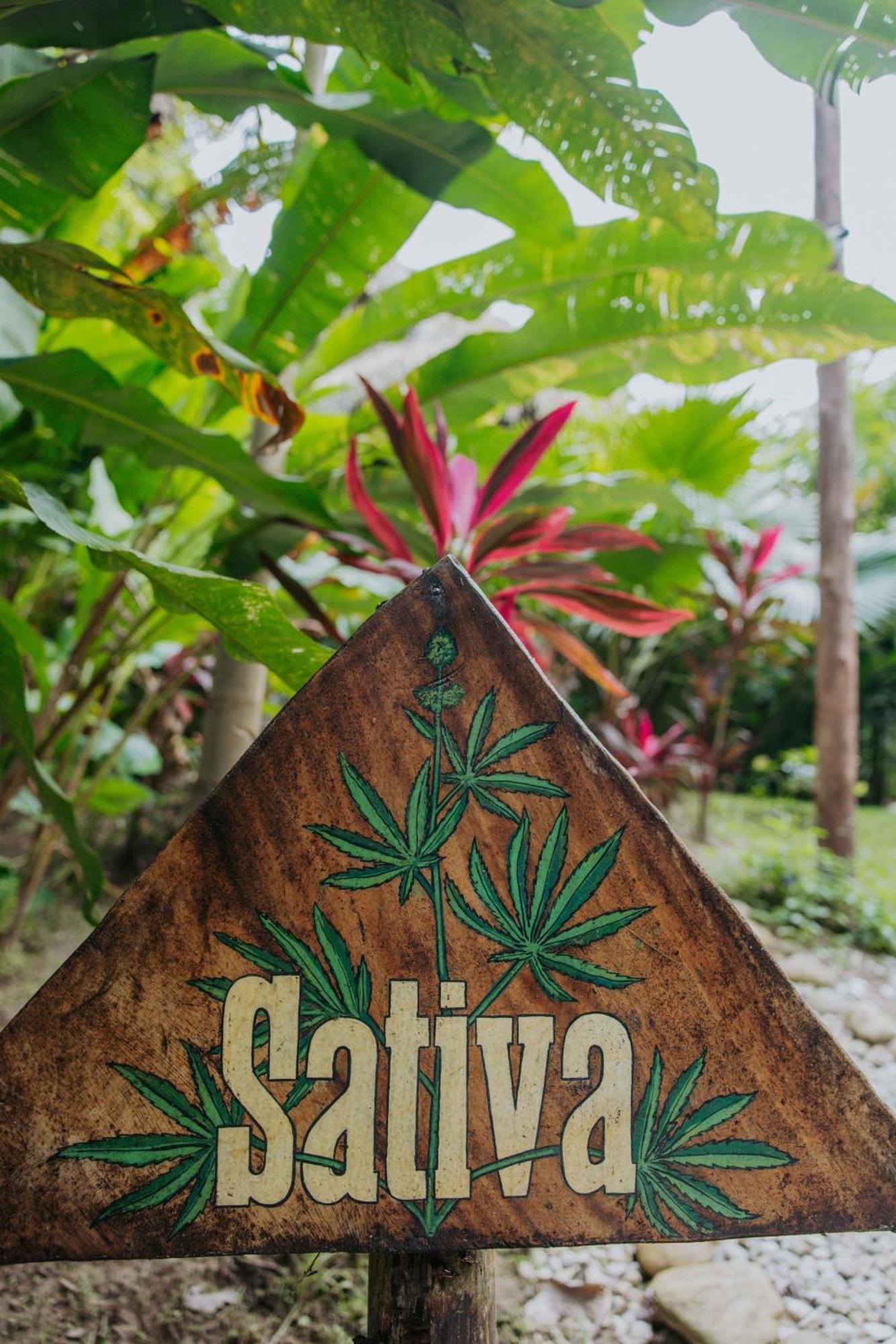 Salvia Madre Hotel Guachaca Екстериор снимка