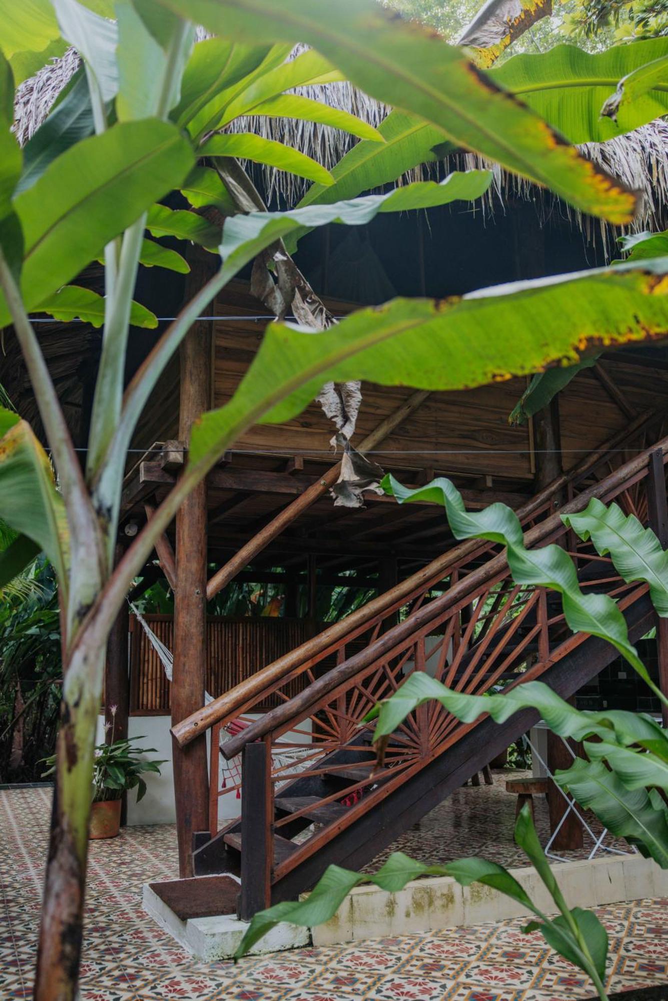 Salvia Madre Hotel Guachaca Екстериор снимка