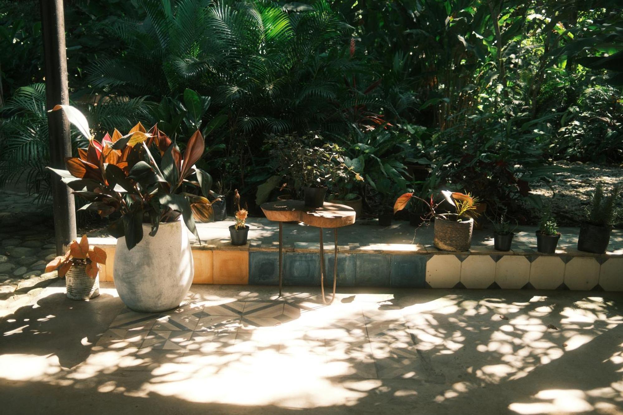Salvia Madre Hotel Guachaca Екстериор снимка