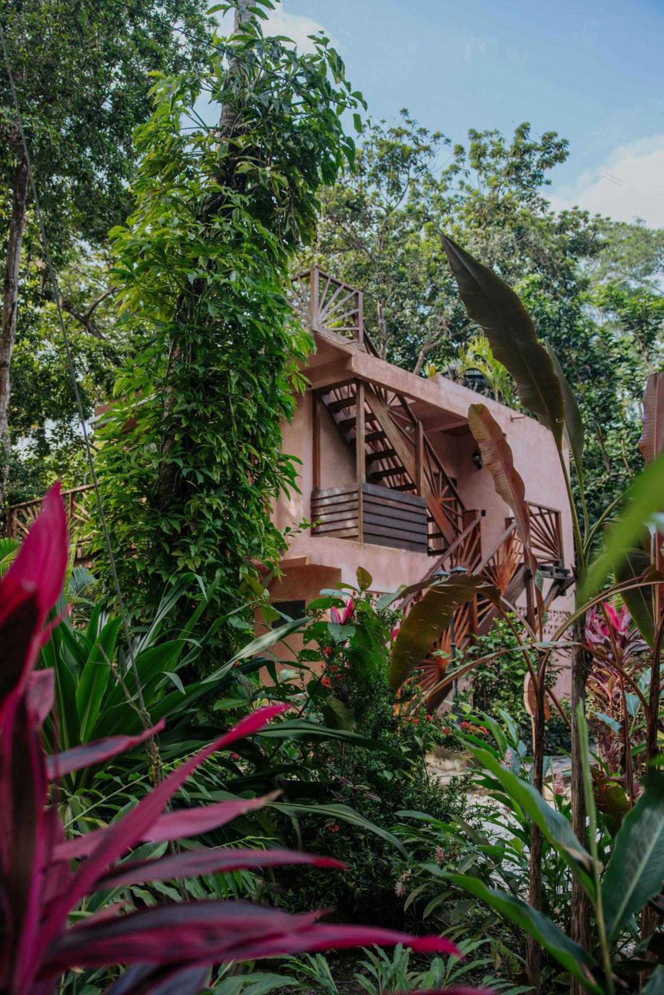 Salvia Madre Hotel Guachaca Екстериор снимка